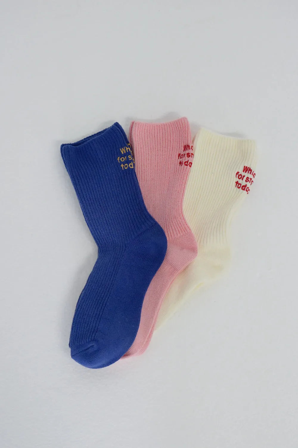 バック刺繍ソックス