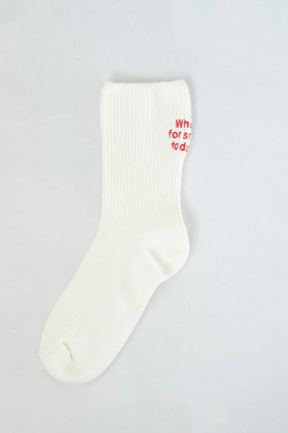 バック刺繍ソックス